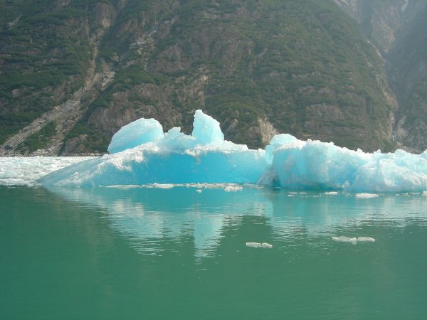 Bergs